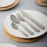 Ivlev Chef Ladoga Вилка столовая, 1 пр. на блистере, нерж.сталь