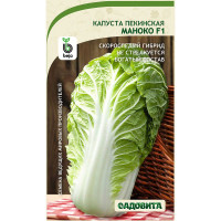 Капуста пекинская Маноко F1 10шт Bejo/Садовита Ц