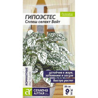 Семена Гипоэстес Сплеш селект вайт Семена Алтая Ц
