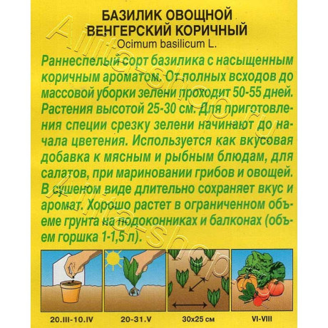 Базилик Венгерский коричневый Аэлита