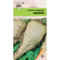 Свекла Сахарок сахарная Урожай у дачи Ц