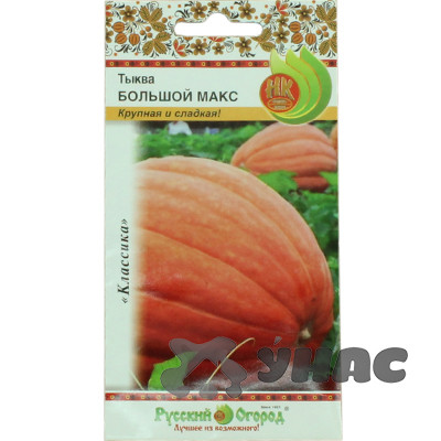 Тыква Большой Макс 1г НК Ц