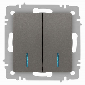 ЭРА Intro Accent мех. выкл. СУ 2 кл. (инд.) 10А 250В, титан 6-105-09