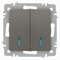 ЭРА Intro Accent мех. выкл. СУ 2 кл. (инд.) 10А 250В, титан 6-105-09