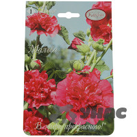 К Мальва многол. Гордость сада (Германия)Каприс