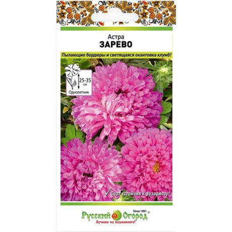 Астра Зарево НК