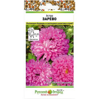 Астра Зарево НК