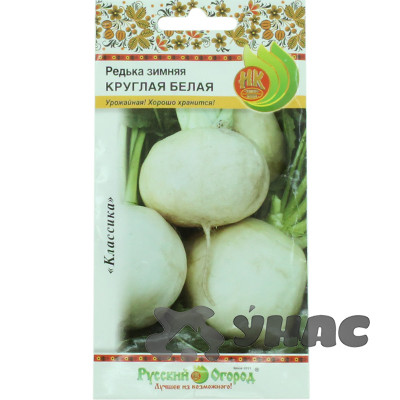 Редька Зимняя круглая белая НК Ц