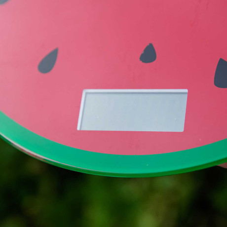 Весы напольные электронные арбуз NA2040