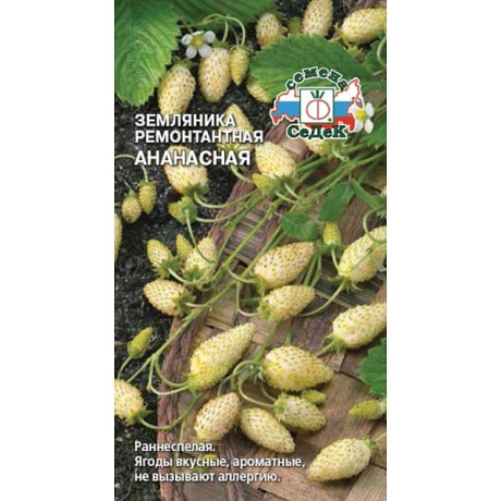 Земляника Ананасная Седек Ц