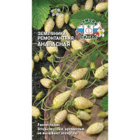 Земляника Ананасная Седек Ц