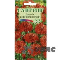 Василек Вишневая корона Гавриш Ц