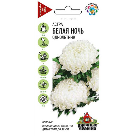 Астра Белая ночь Удач сем Гавриш Ц