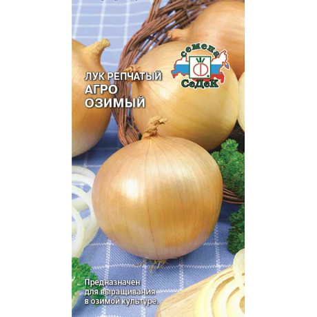 Лук Агро (озимый) Седек Ц