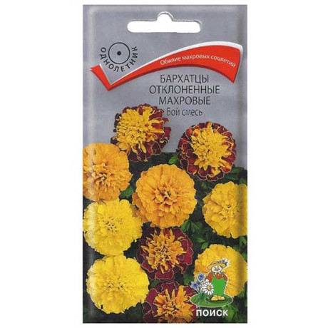 Бархатцы Бой Смесь Поиск Ц