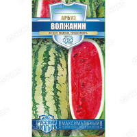 Арбуз Волжанин Гавриш Ц