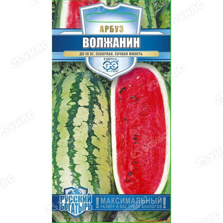Арбуз Волжанин Гавриш Ц