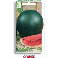 Арбуз Огонек Поиск Ц