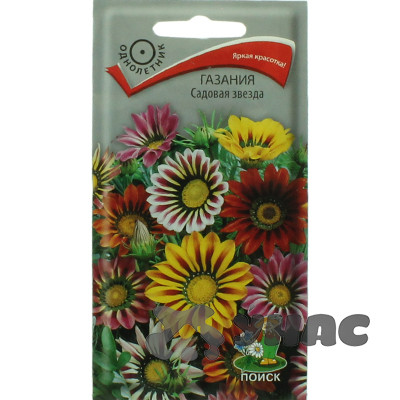 Газания Садовая звезда Поиск Ц