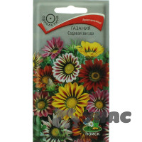 Газания Садовая звезда Поиск Ц