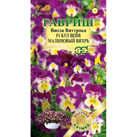 Виола Виттрока Малиновый вихрь Гавриш Цх10