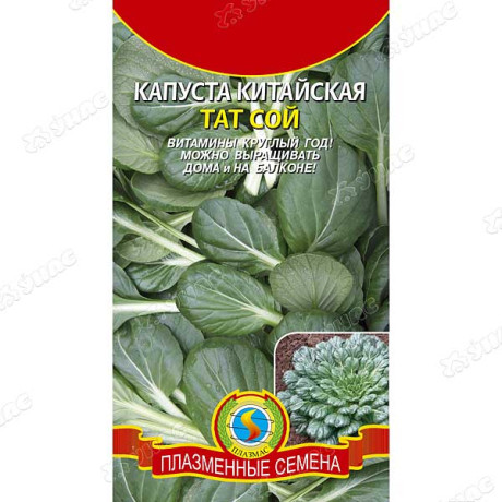 Капуста китайская Тат Сой Плазма Ц
