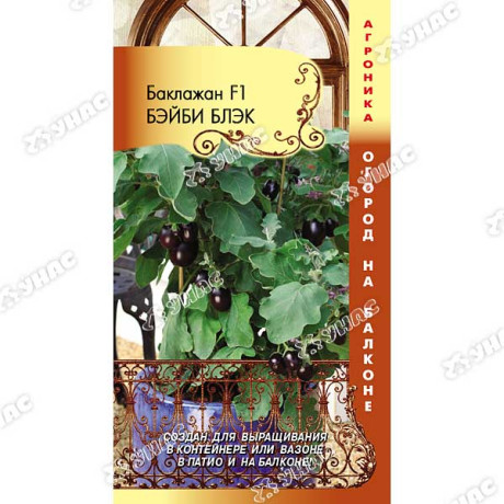 Баклажан Бэйби Блэк F1 Плазма Ц