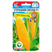 Кукуруза Утренняя песня СибСад Ц