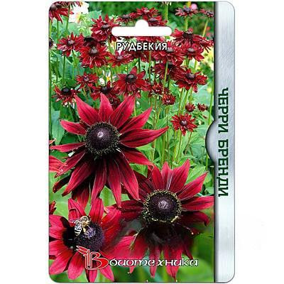 Рудбекия Черри Бренди Биотехника Ц