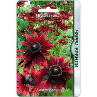 Рудбекия Черри Бренди Биотехника Ц