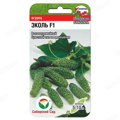 Огурец Эколь СибСад Ц