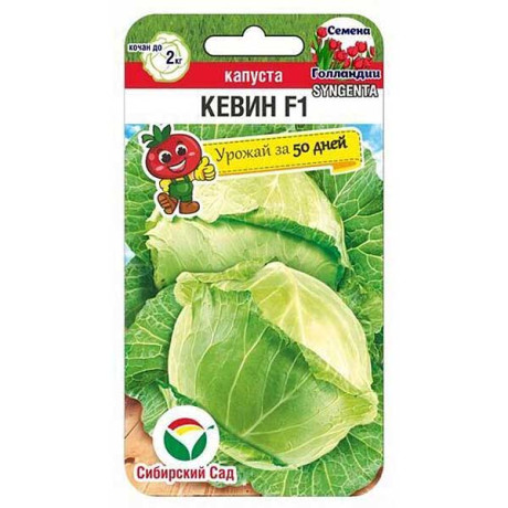 Капуста Кевин СибСад
