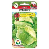 Капуста Кевин СибСад