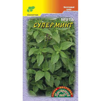 Мята Суперминт ЦветСад Ц