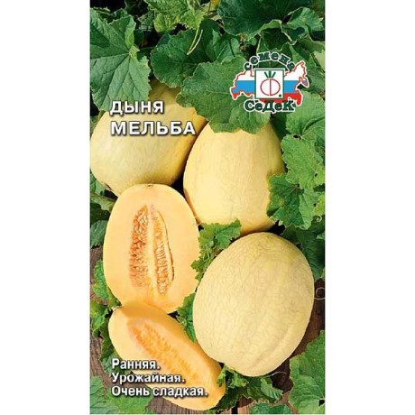 Дыня Мельба Седек Ц