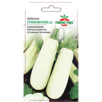 Кабачок Грибовский 37 Седек Ц