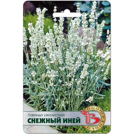 Лаванда Снежный иней Биотехника Ц