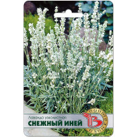 Лаванда Снежный иней Биотехника Ц