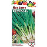 Лук батун Нежность Гавриш Ц