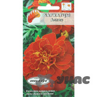 Бархатцы Аспен красный Аэлита Ц