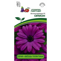 Остеоспермум эклона Орион Партнер Ц