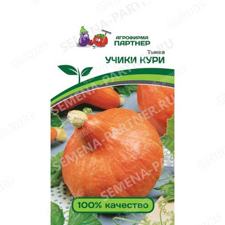 Тыква Учики Кури Партнер Ц