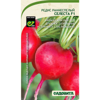Редис Селеста F1 0,5гр Enza Zaden/Садовита Ц