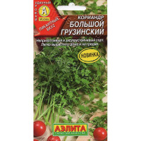 Семена Кориандр Большой грузинский Аэлита Ц x10