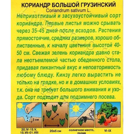 Семена Кориандр Большой грузинский Аэлита Ц x10