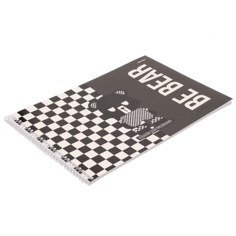 Альбом для рисования A4 40л., офсет 100г/м2, обл.картон, спираль, микс