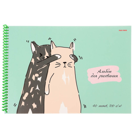 Альбом для рисования A4 40л., офсет 100г/м2, обл.картон, спираль, микс