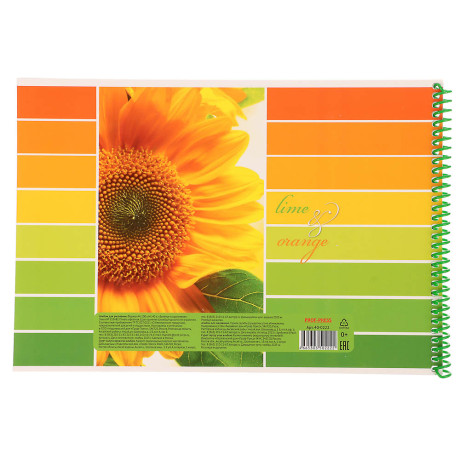 Альбом для рисования A4 40л., офсет 100г/м2, обл.картон, спираль, микс