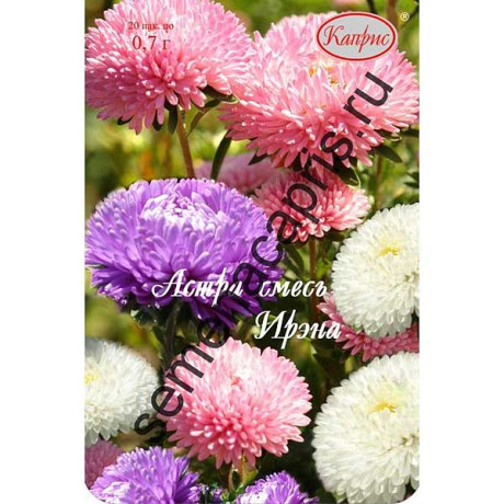 К Астра Ирэна маргариткоцветковая смесь Каприс