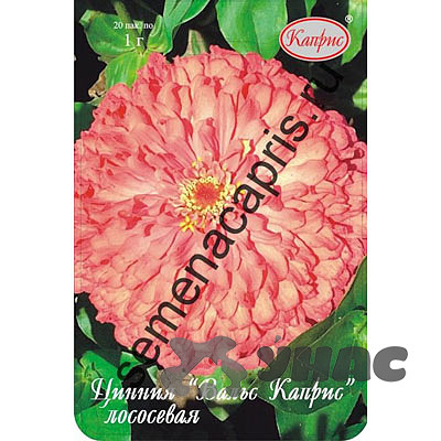 К Циния Вальс лососевая Каприс
